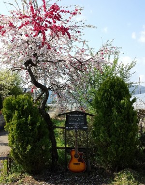20140501_084119