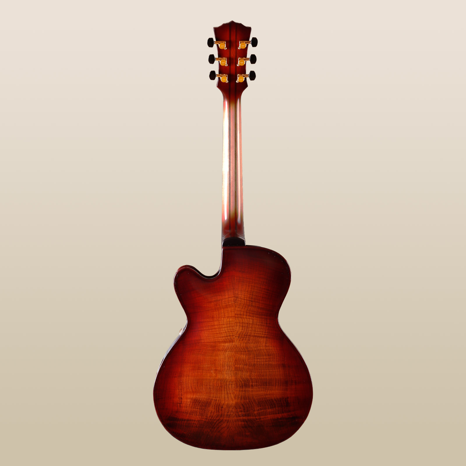 AR201-Ham2026-Back